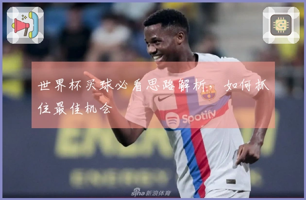 世界杯买球必看思路解析，如何抓住最佳机会