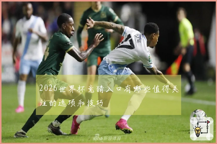2026世界杯竞猜入口有哪些值得关注的选项和技巧