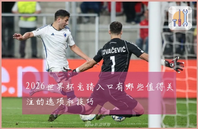 2026世界杯竞猜入口有哪些值得关注的选项和技巧